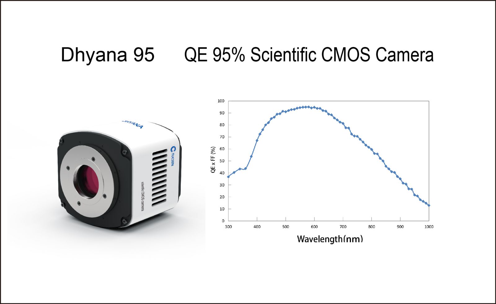 bead487df74683dfb90eeaafa20c7e4c_Dhyana95andQE