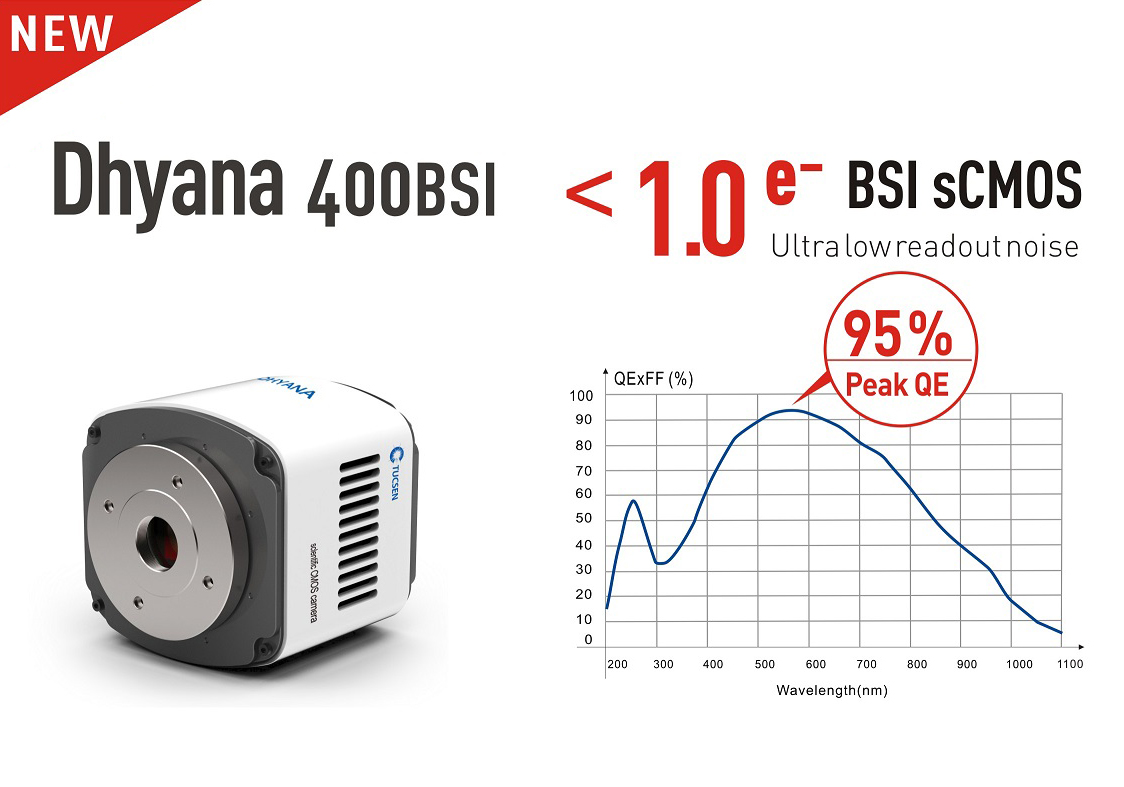 鑫圖發布新一代超高信噪比sCMOS科學相機，Dhyana 400BSI!